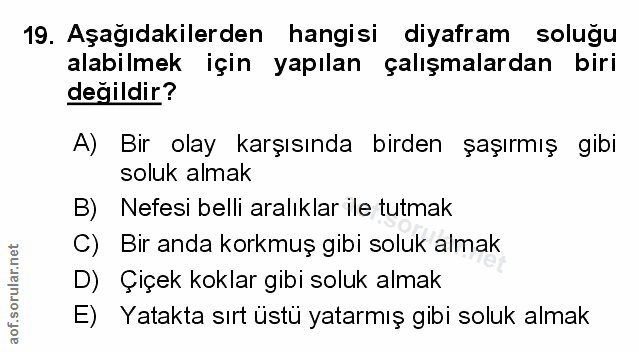 Soru 19