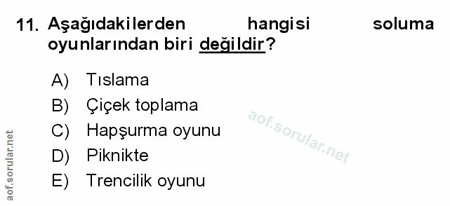 Soru 11