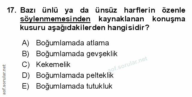 Soru 17