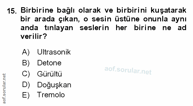 Soru 15