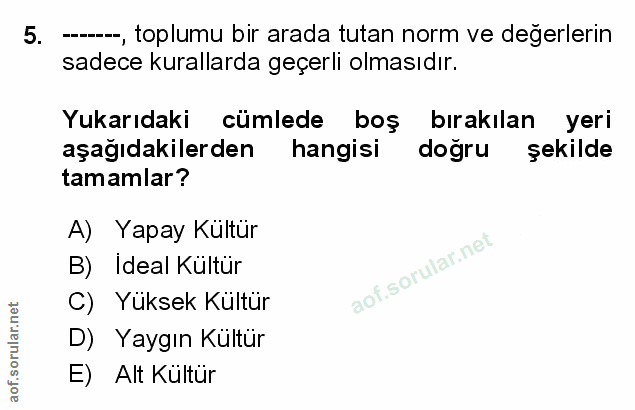 Soru 5