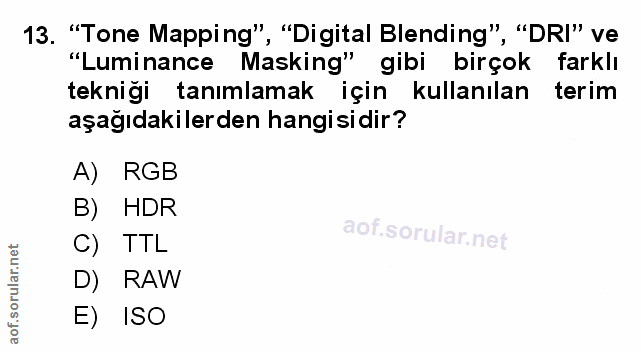 Soru 13
