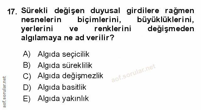Soru 17