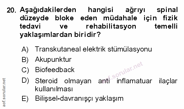 Soru 20