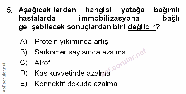 Soru 5
