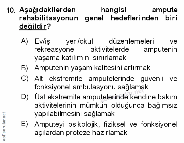 Soru 10