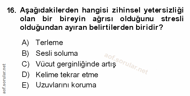 Soru 16