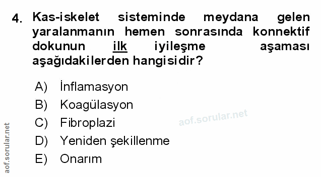 Soru 4