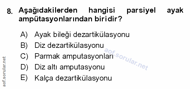 Soru 8
