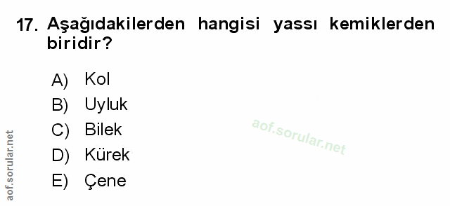 Soru 17