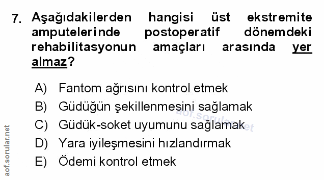 Soru 7