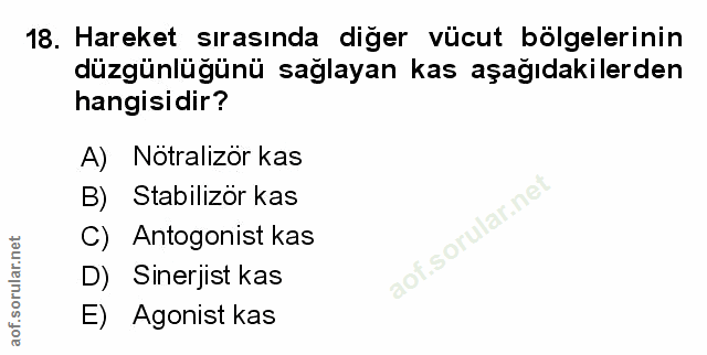 Soru 18