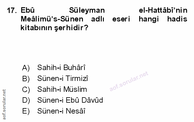 Soru 17