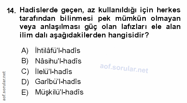 Soru 14