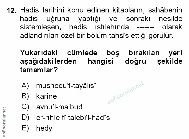 Soru 12