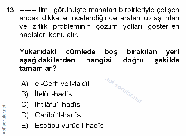 Soru 13