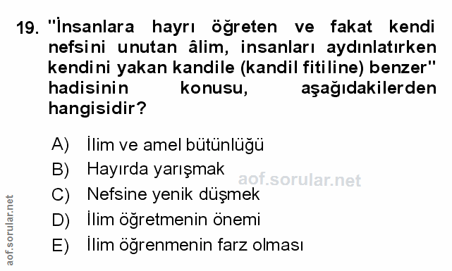 Soru 19