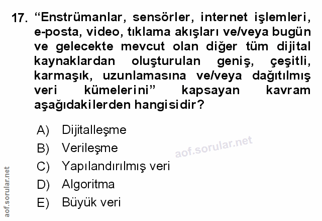 Soru 17