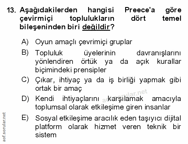 Soru 13