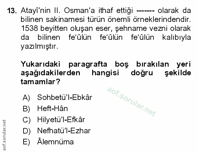 Soru 13