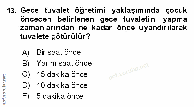Soru 13