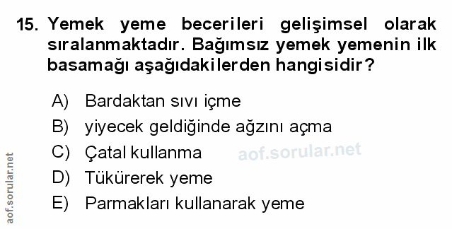 Soru 15