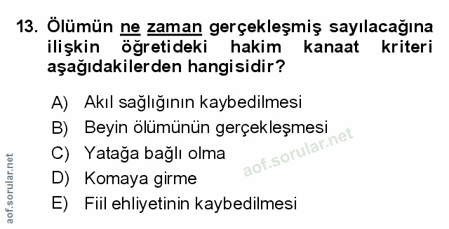 Soru 13
