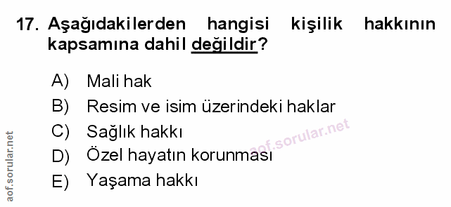 Soru 17
