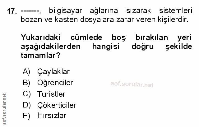 Soru 17