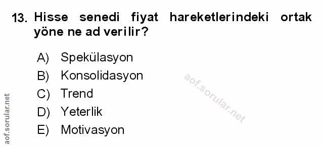 Soru 13