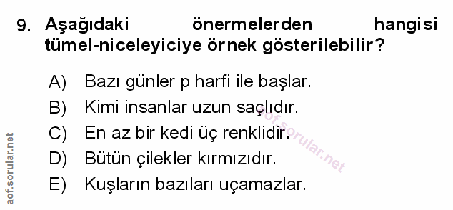 Soru 9