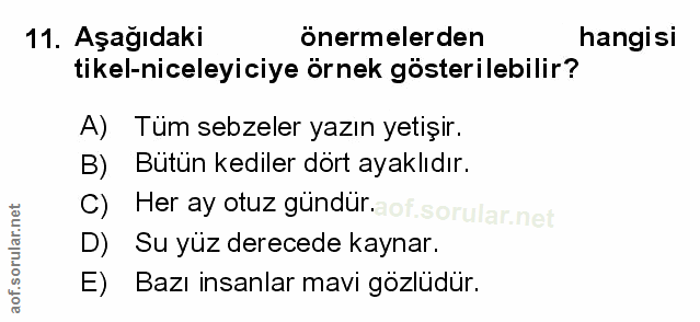 Soru 11