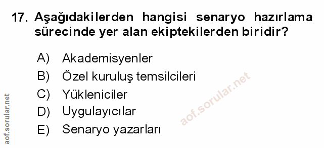 Soru 17
