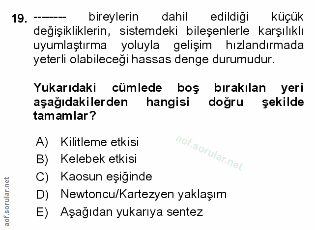 Soru 19
