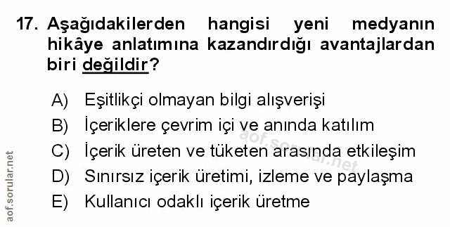 Soru 17