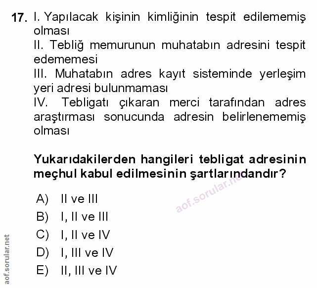 Soru 17