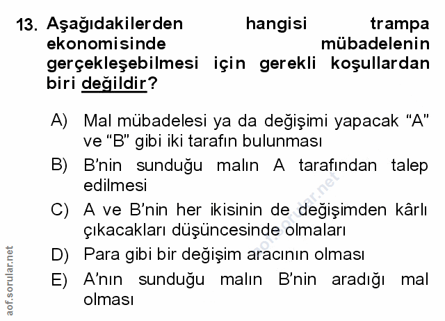 Soru 13