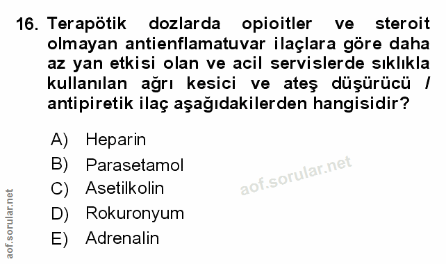 Soru 16