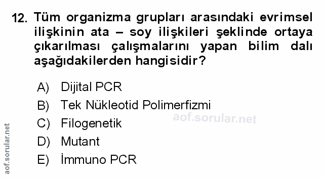 Soru 12