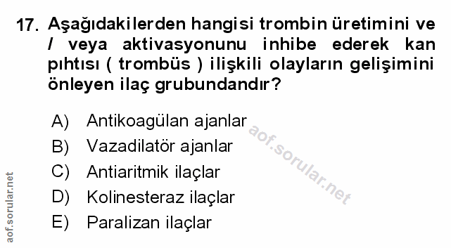 Soru 17