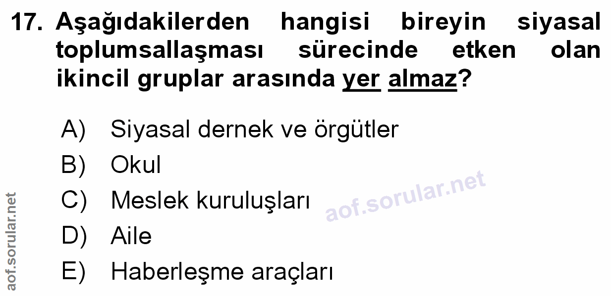 Soru 17