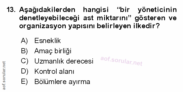 Soru 13