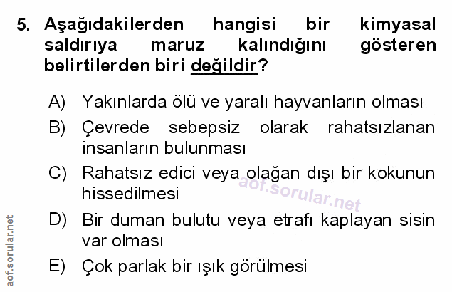 Soru 5