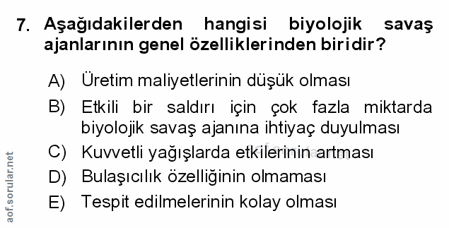 Soru 7