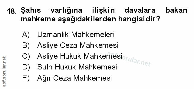 Soru 18