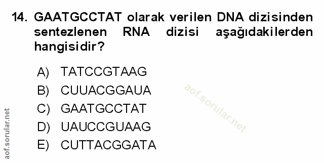 Soru 14