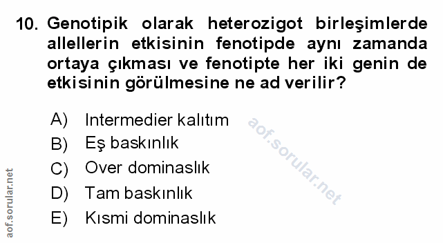 Soru 10