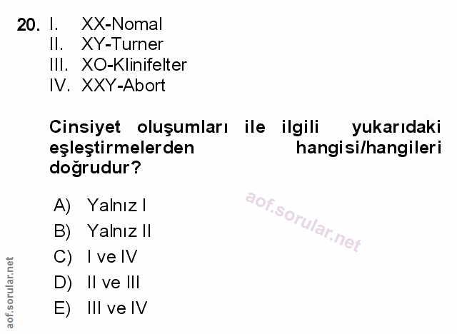 Soru 20