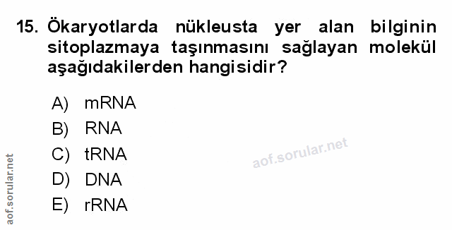 Soru 15