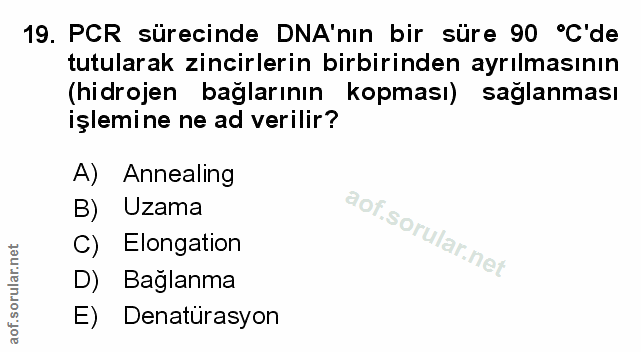 Soru 19